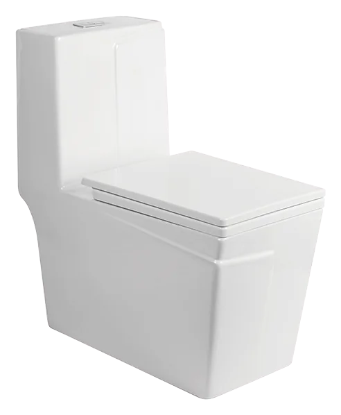MCPOLOO MTL10925S, wc monoblocs