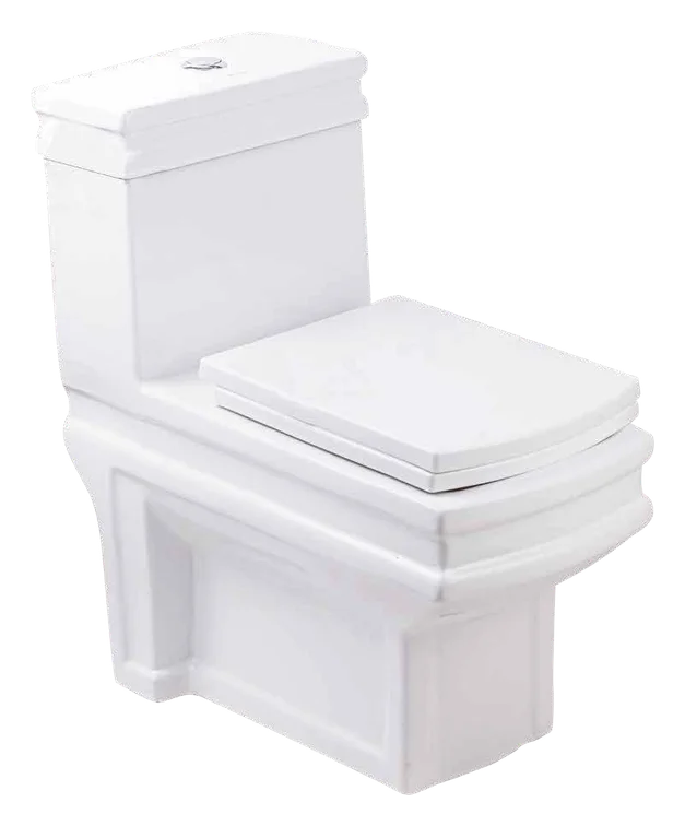 MCPOLOO MTL11225S, wc monoblocs