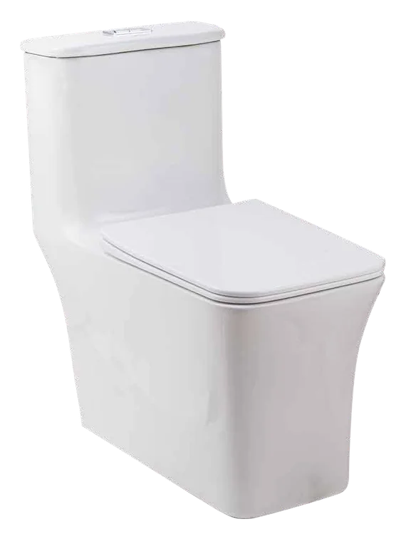 MCPOLOO MTL16425S, wc monoblocs