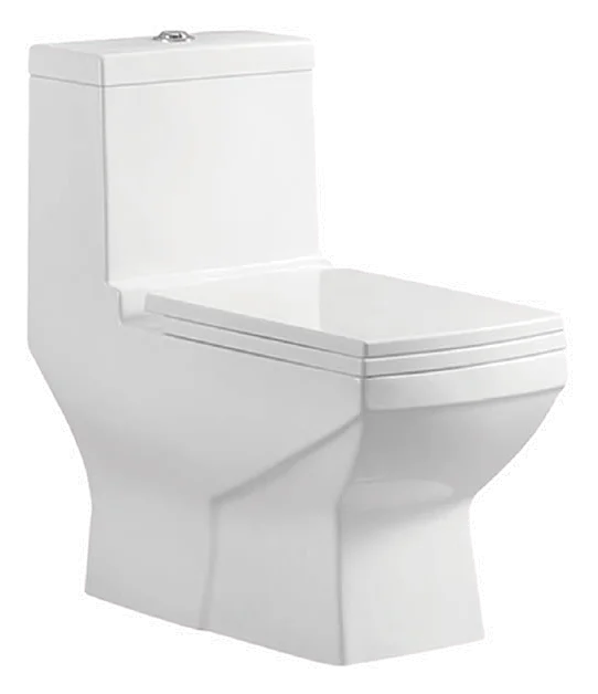 MCPOLOO MTL16625S, wc monoblocs