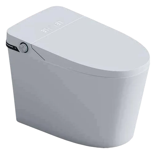 MCPOLOO MTL60230S, wc intelligents