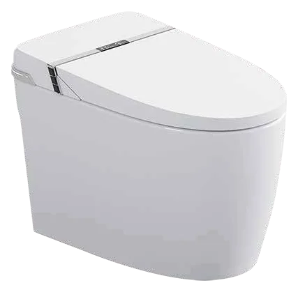MCPOLOO MTL60430S, wc intelligents